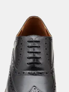 Arrow Men Charter Perforated Leather Formal Brogues