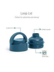 Vaya DRYNK Blue Stainless Steel Water Bottle with Loop Lid 350ml