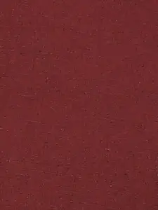 Pepe Jeans Mandarin Collar Long Sleeves Casual Shirt