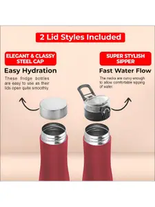 Pexpo MONACO 3pc Fridge Single wall Red Stainless Steel Water Bottle -700ml Each