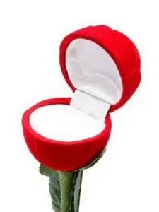 Vighnaharta Gold-Plated Cubic Zirconia Studded S-Letter Finger Ring With Velvet Rose Box