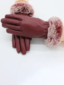 Alexvyan Women Wind & Snow Proof Winter Touchscreen Hand Gloves