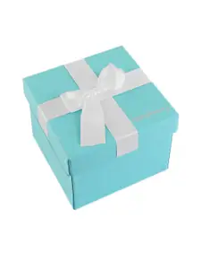 DressBerry Women Stainless Steel Straps Analogue Watch DB24-5A