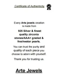 Arte Jewels Men 92.5 Sterling Silver CZ-Studded Finger Ring