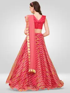 BAESD Semi-Stitched Organza Lehenga & Unstitched Blouse With Dupatta