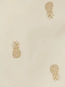 max Boys Conversational Printed Pure Cotton Shorts