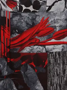 ANAND SAREES Selection Of 2 Floral Printed Sarees