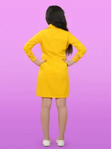 BAESD Crepe Shirt Style Dress