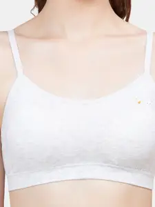 PLUMBURY Pack Of 2 Full Coverage Lightly Padded Bra All Day Comfort