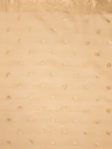 MIMOSA Ethnic Motifs Woven Design Zari Art Silk Banarasi Saree