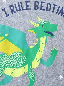 INCLUD Boys Graphic Printed Round Neck T-shirt With Shorts