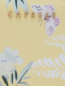 Caprese Women Embroidered Zip Around Wallet