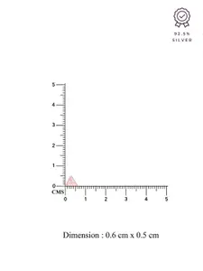 KAI JEWEL 925 Sterling Silver Rhodium-Plated Cubic Zirconia Studded Studs Earrings