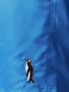 Trendyol Plus Size Men Mid Rise Sports Shorts