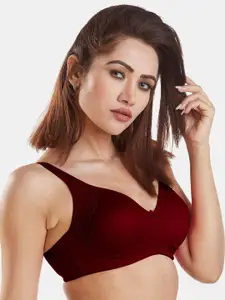 Dazzle Women Maroon Non Padded Non Wired Bra