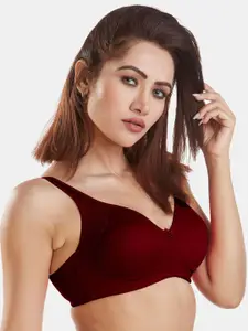 Dazzle Women Maroon Solid Non Padded Non-Wired Bra