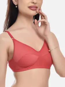 FIMS Blue & Pink Bra