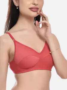 FIMS Pack of 3 Blue & Pink Bra