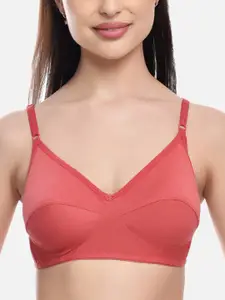 FIMS Women Set of 3 Solid Cotton Bra and Briefs Set