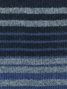 Peter England Men Pack Of 3 Striped Calf-Length Socks