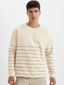 DeFacto Men Striped Pullover