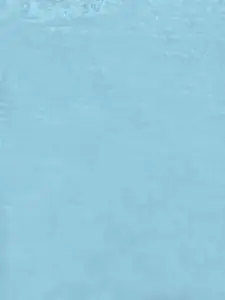 Ishin Ethnic Motifs Embroidered Unstitched Dress Material