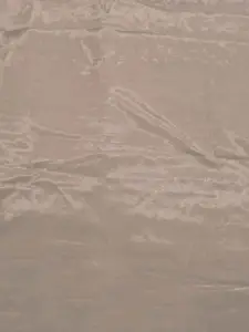 Ishin Ethnic Motifs Embroidered Organza Unstitched Dress Material