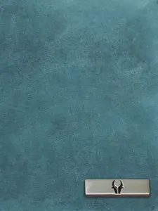 WildHorn Men Accessory Gift Set Set Of Wallet and Belt & Rakhi