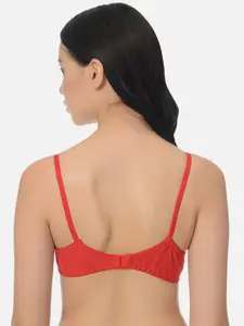 mod & shy Women Floral Medium Coverage Non Padded Lace Bra