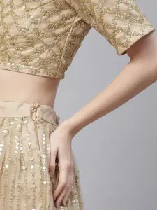 FABPIXEL Embroidered Sequinned Net Semi-Stitched Lehenga & Unstitched Blouse With Dupatta