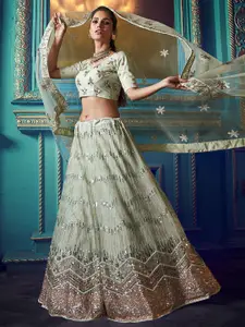 ODETTE Embroidered Sequinned Net Semi-Stitched Lehenga & Blouse With Dupatta
