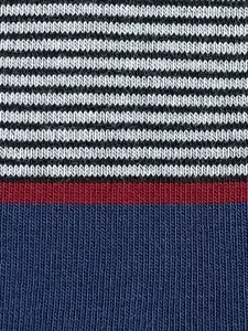 Peter England Men Pack Of 3 Striped Above Ankle-Length Socks