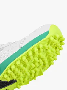 DSC Men's Jaffa Neo Cricket Shoes