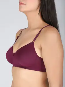 StyFun Pack of 3 Full Coverage Lightly Padded T-shirt Bra