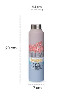 Speedex Multicoloured Single Stainless Steel Solid Water Bottle