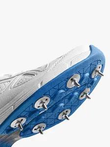 DSC Men Drifter Cricket Shoes