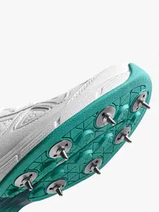 DSC Drifter Cricket Shoes, Color - SG23