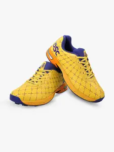 DSC Biffer 22 YL24 Cricket Shoes