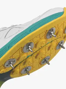 DSC Drifter Cricket Shoes SGYL24