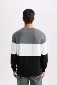 DeFacto Men Colourblocked Pullover