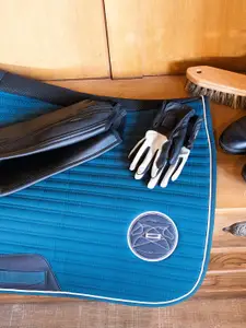 FOUGANZA By Decathlon Men Black Horse Riding Gloves