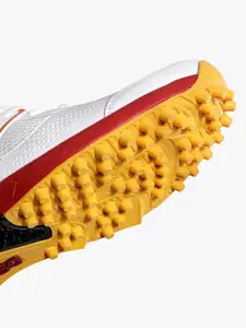 DSC Men Cricket Shoes