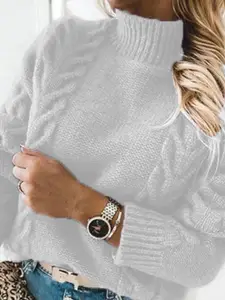 StyleCast Women Turtle Neck Regular Pullover