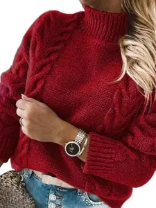 StyleCast Women Turtle Neck Self Design Cable Knit Long Sleeves Pullover