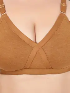 Designer Bugs Women Pack of 2 Plus Size Full Coverage Non-Wired Bra