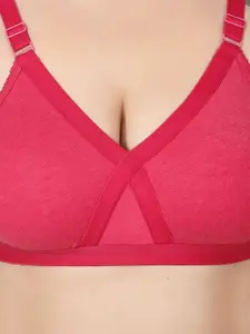 Designer Bugs Pack Of 2 Full Coverage Everyday Bra