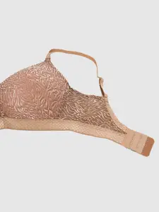 DressBerry Women Lace Full Coverage Lightly Padded Seamless Bra