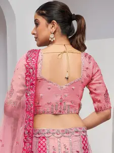 DIVASTRI Embroidered Sequinned Semi-Stitched Lehenga & Unstitched Blouse With Dupatta