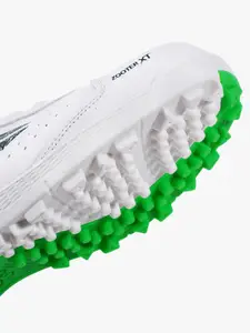 DSC Men Cricket Shoes