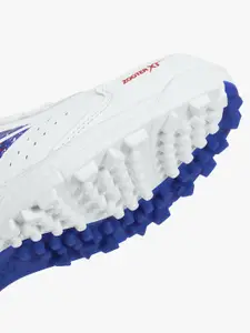 DSC Men Cricket Shoes